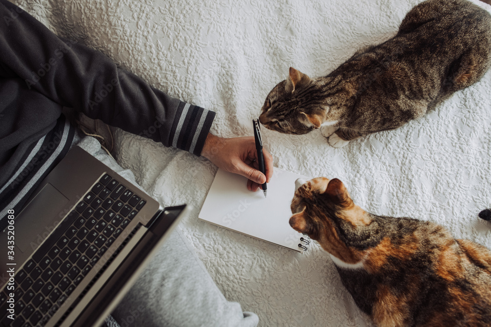 Фрилансер с котом дома