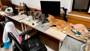 Человек работает дома за компьютером