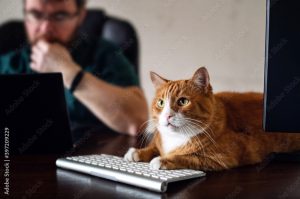 Человек работает дома