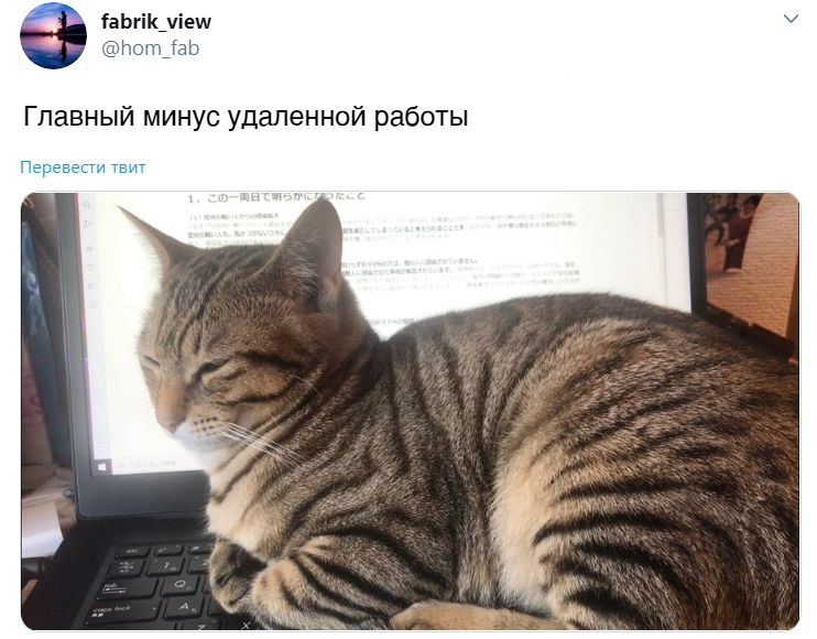 Человек и ноутбук