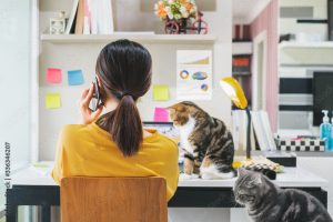 Женщина работает за ноутбуком дома