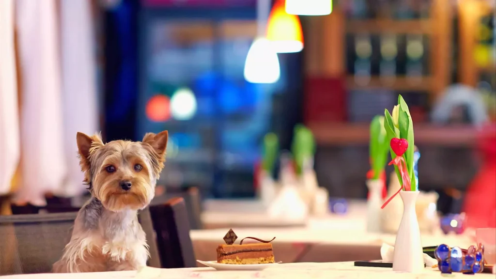 Девушка работает дома у ноутбука