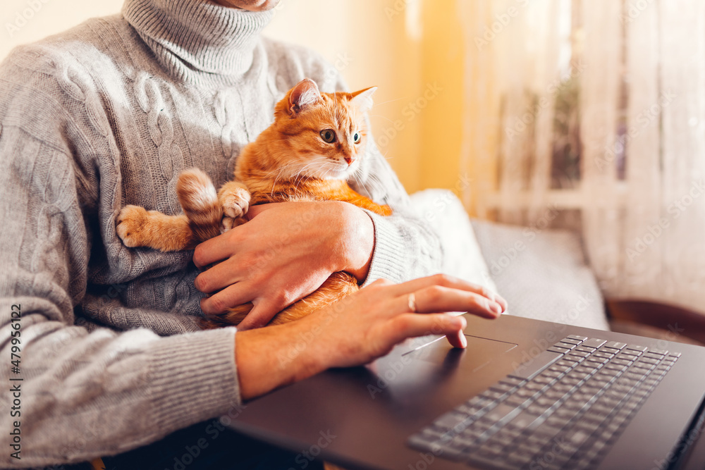 Человек работает за ноутбуком дома